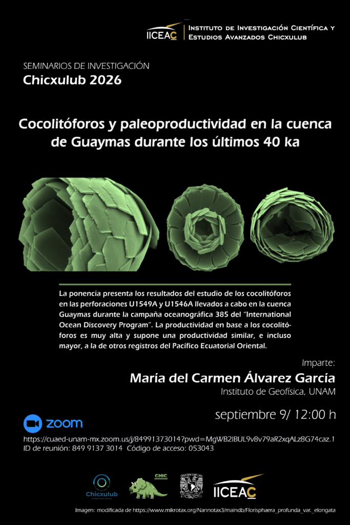 Cartel Sem Chicx María del Carmen Álvarez 2026