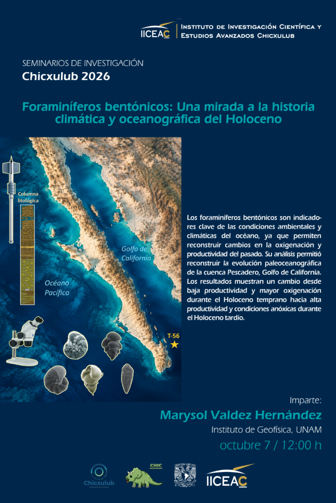 Cartel Sem Chicx 2026 Marysol Valdez