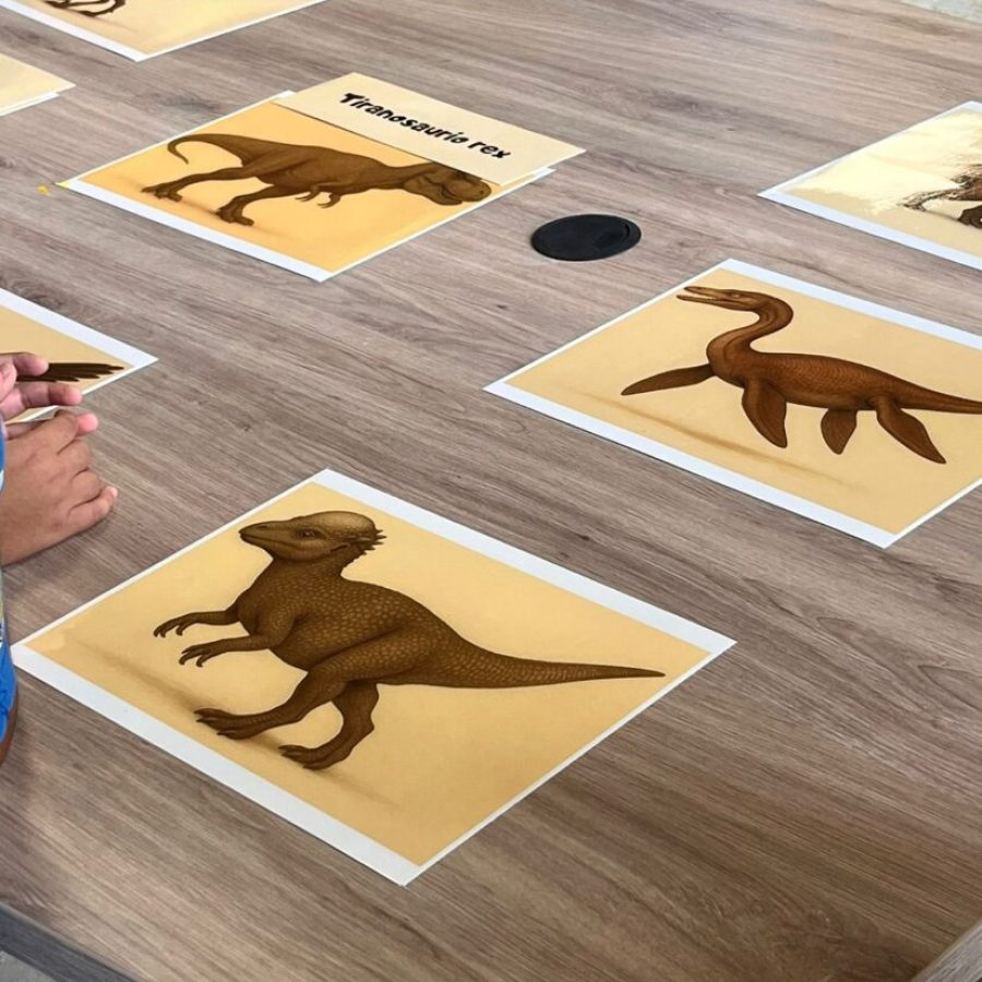 Identifica y describe dinosaurios