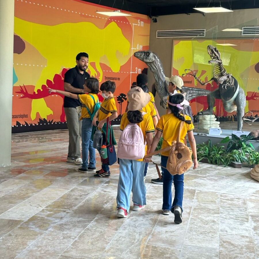 Visitas escolares